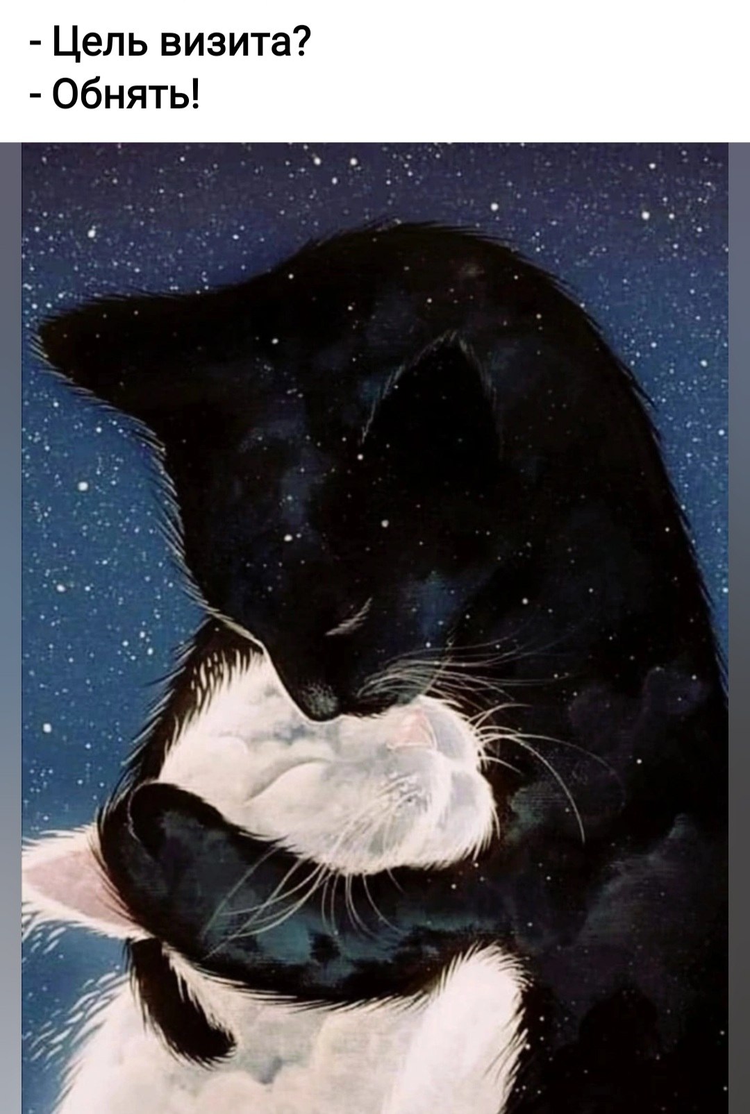 *Tаша* - 6 мая 2023 в 07:16