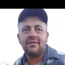 ��������, ����, 43 ����