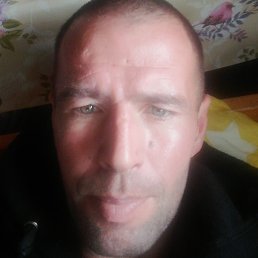 ������, �����-���������, 41 ���