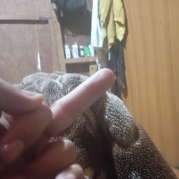 Arkar, �������, 38 ���