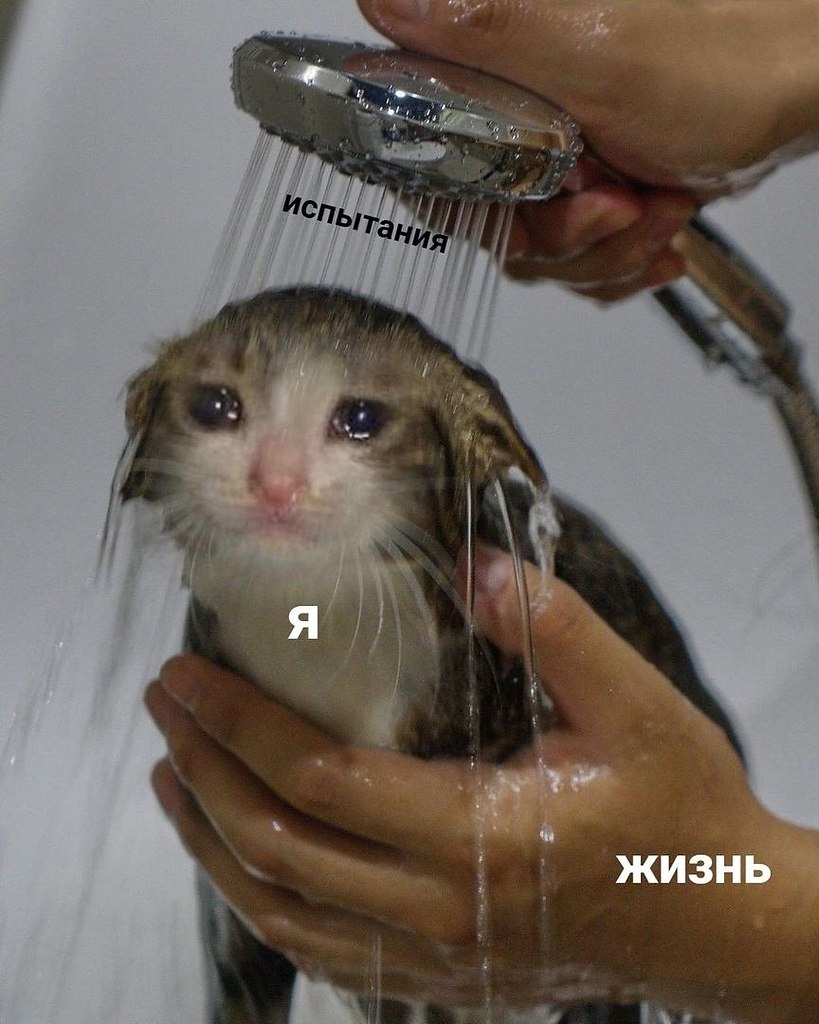    - 6  2023  09:34