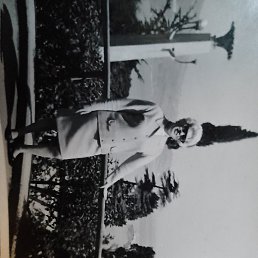 ����, ������, 37 ���