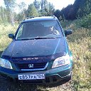 ���� ���������, ����������, 32 ���� - ��������� 3 ��� 2023