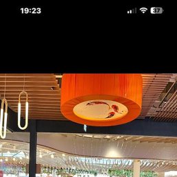 ���� �����, ������, 42 ���� - ��������� 15 ������� 2023