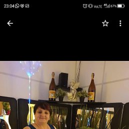 ���� �������, ��������, 55 ��� - ��������� 12 ���� 2023