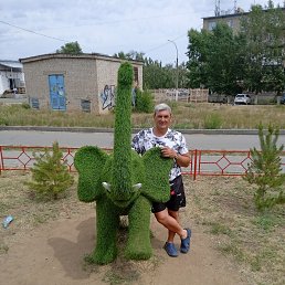 ���� �������, �����������, 56 ��� - ��������� 22 ������� 2023