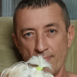 , , 53 
