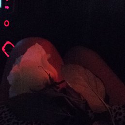 ��������, �������, 38 ���