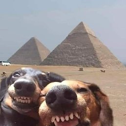 ���� �����, ������, 50 ��� - ��������� 18 ������ 2023