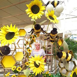 �������, ������, 53 ����