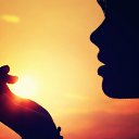 ���� �����, ���������, 44 ���� - ��������� 17 ���� 2023 � ������ ���� ����������