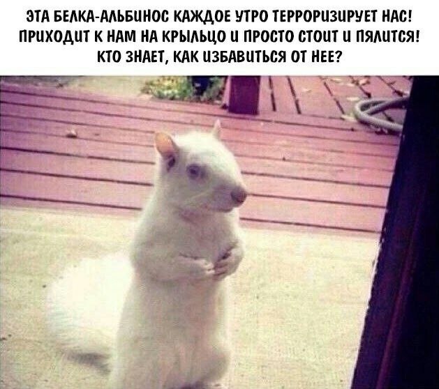 ��� �������� �������� - 7 ������� 2023 � 11:40