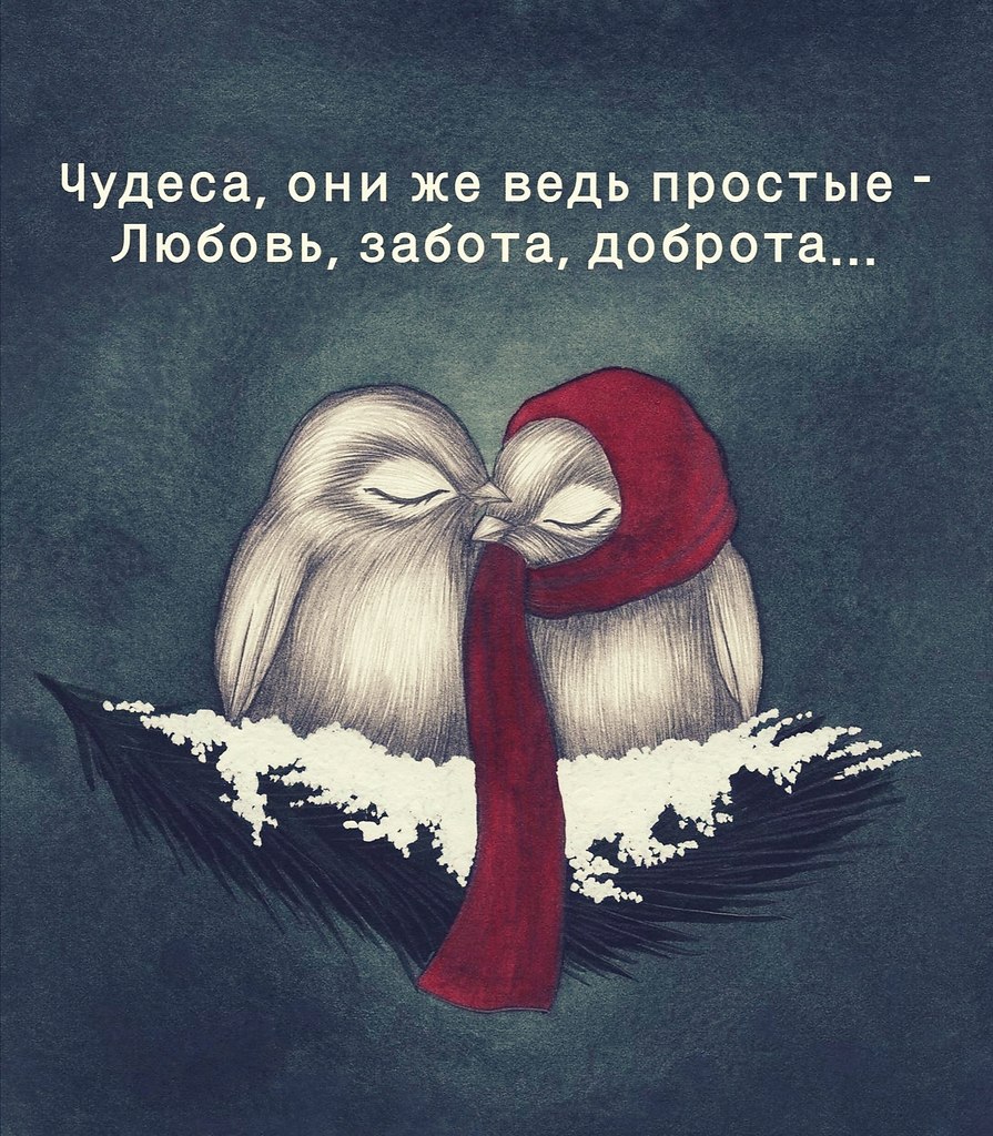      , - ,    