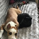 ���� ������, �����, 42 ���� - ��������� 14 ������ 2023 � ������ ���� ����������