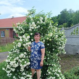 �������, ��������, 55 ���