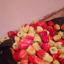 ���� ����, ������, 40 ��� - ��������� 26 ������� 2023 � ������ ���� ����������