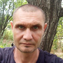 �������, ������, 45 ���