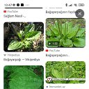 ���� Vqar, ����, 46 ��� - ��������� 20 ��� 2023 � ������ ���� ����������