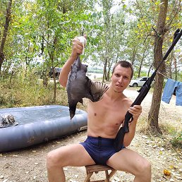 ���������, ����, 37 ���