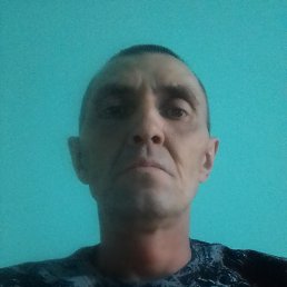 �������, �����-���������, 47 ���