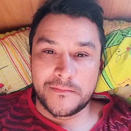 �����, ������, 40 ���