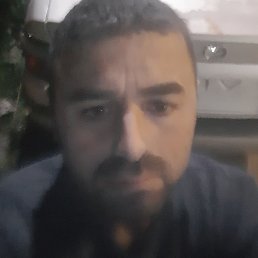 ������, ������, 33 ����