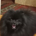 ���� ������, ������, 59 ��� - ��������� 10 �������� 2023 � ������ ���� ����������