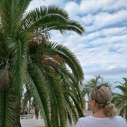 �������, ������, 55 ���