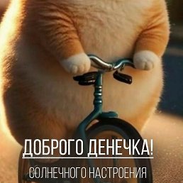 ������, �����, 39 ���