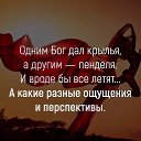 ���� ��������, ������-��-����, 65 ��� - ��������� 12 ���� 2023 � ������ ������ ��������