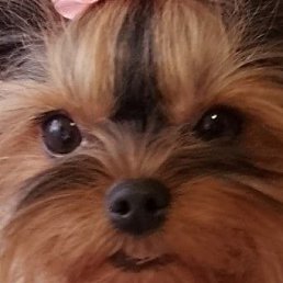 ���� ��������, ���������, 55 ��� - ��������� 20 �������� 2023