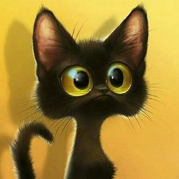 ������, ������, 67 ���