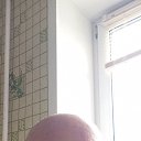 ���� ��������, ������, 54 ���� - ��������� 5 ��� 2023 � ������ ���� ����������