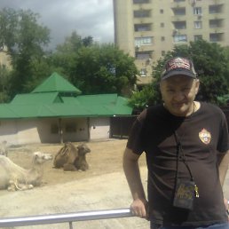 �����, ��������, 53 ����