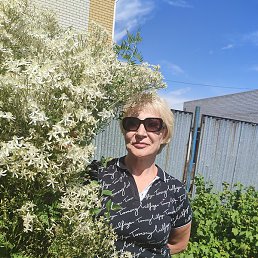 ������, ���������, 58 ���