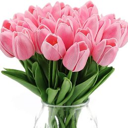 ����, ����, 21 ���