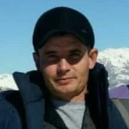 ������, ��������, 41 ���