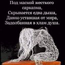 ���� ����, ������������, 53 ���� - ��������� 20 ������� 2023