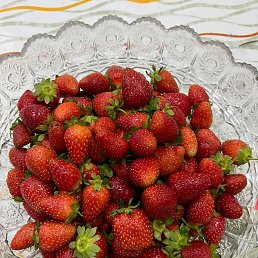 Farik, ������, 39 ���