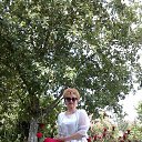 ���� ������, ������, 105 ��� - ��������� 28 ������ 2023 � ������ ���� ����������