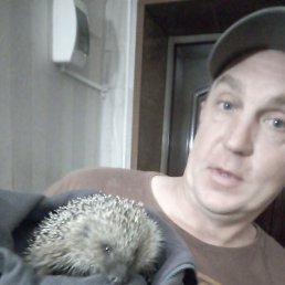 �����, ������������, 44 ����