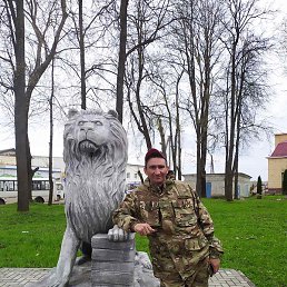 ����, ������, 38 ���