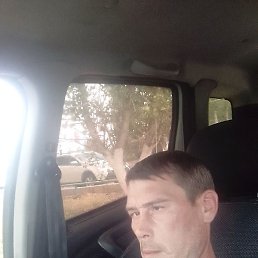 �������, ���������, 40 ���