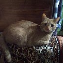 ���� �����, �����-���������, 73 ���� - ��������� 18 ������ 2023