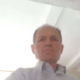 �����, ���������, 48 ���