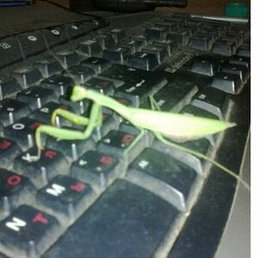 Vadimpanenko2002, ������-��-����