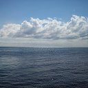 ���� �����, ������-��-����, 41 ��� - ��������� 30 ������ 2023 � ������ ����� � ��������