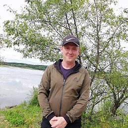 �������, ����������, 41 ���