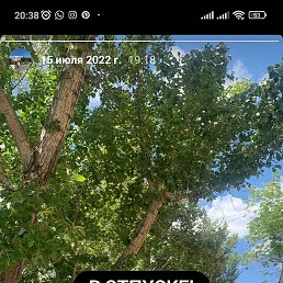���� ������, ������, 56 ��� - ��������� 29 ���� 2023