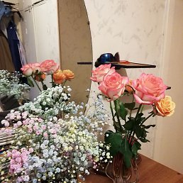 �������, ������, 49 ���